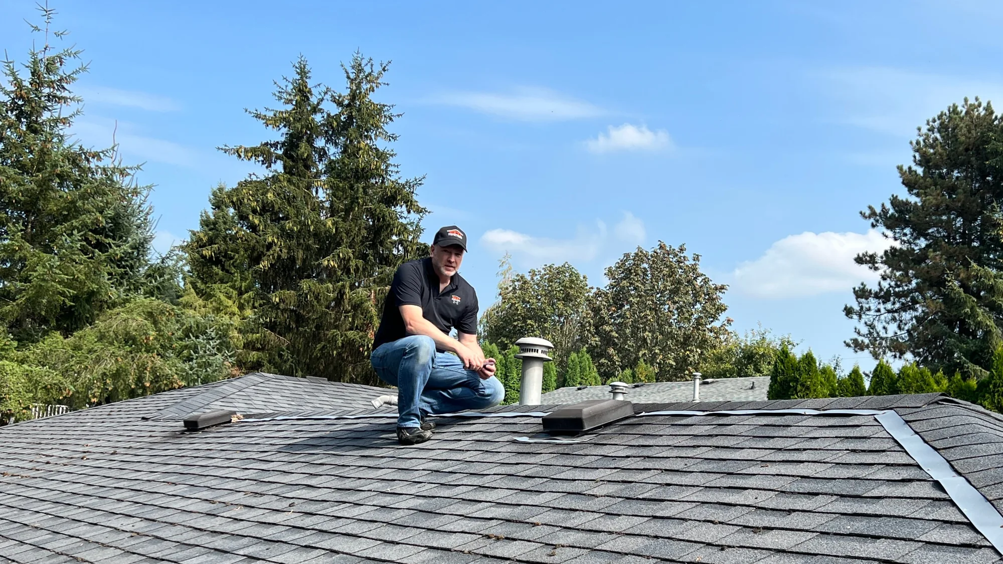 Single component home inspection